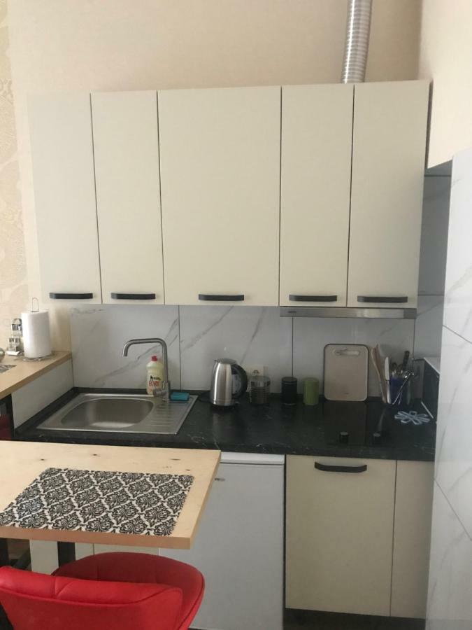 Apartment Barvy Lvova On Kostyushka St Экстерьер фото